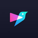 Pipio Video Dubbing